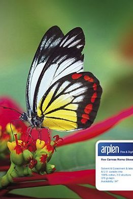 холст Glossy Roma 1067 mm 25m