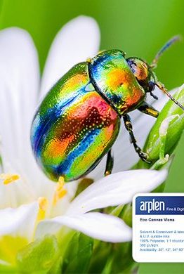 холст Vienna Canvas 1067mm 30m